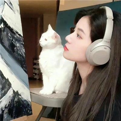 戆子记