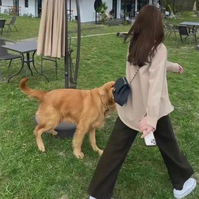 名姝第二季